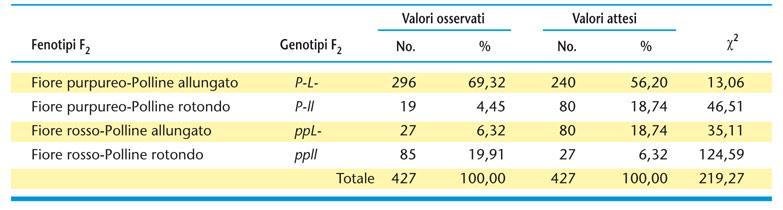 3.2 ECCEZIONI DELL ASSORTIMENTO INDIPENDENTE: ESPERIMENTI DI BATESON Tabella 3.