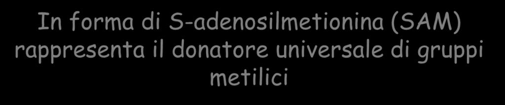 solforato con catena laterale alifatica apolare In forma di