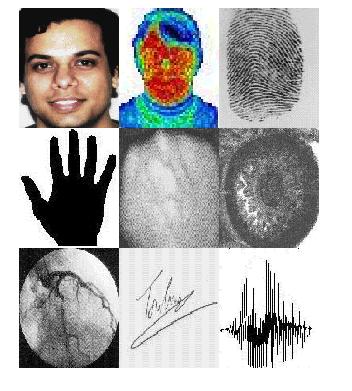Fattore biometrico: faccia termogramma facciale impronte digitali geometria della mano firma voce iride Valutazione