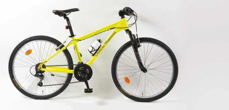 link "LaBottega - LuckyExplorers Custom Bikes" dettagli details: telaio