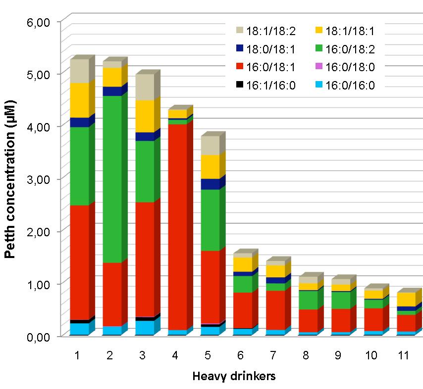 PRELIMINARY RESULTS Peth 16:0/18:1 and 16:0/18:2 = most abundant Peth molecular species Peth 16:0/18:1, 16:0/18:2 and 18:1/18:1 = approximately 75% of total Peth Interindividual variations Peth