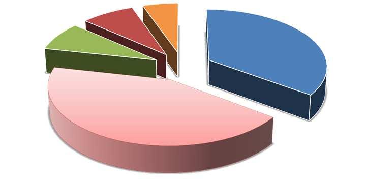Studi tecnici 8% PA e servizi pubblici 8% Aziende Partecipanti Composizione settoriale (PIL