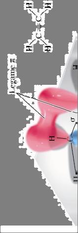 Reattività degli alcheni Abbiamo visto che