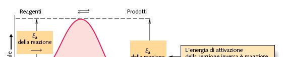 15 LE TEORIE SULLA VELOCITÀ DI REAZIONE SPIEGANO LE LEGGI