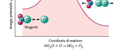 URTI MOLECOLARI Formazione del complesso attivato