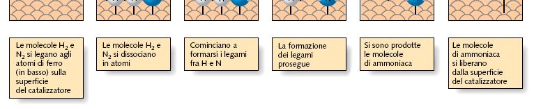 processo Haber Formazione catalizzata di molecole di