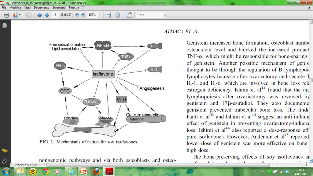 Fitoestrogeni e Osteoprotezione Le evidenze scien2fiche Studi