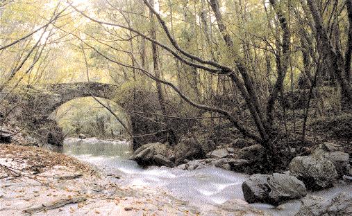 I PONTI IN PIETRA NELLA VALLE DI NEIRONE E LE PROBLEMATICHE LEGATE AD UNA LORO DATAZIONE Paola Cavaciocchi Il territorio comunale di Neirone è costituito da una profonda valle (fig.