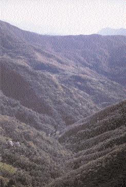 IL RUOLO DEI TERRITORI MONTANI IN LIGURIA Raffaella Spinetta La Liguria è tuttora poco studiata dal punto di vista del paesaggio.