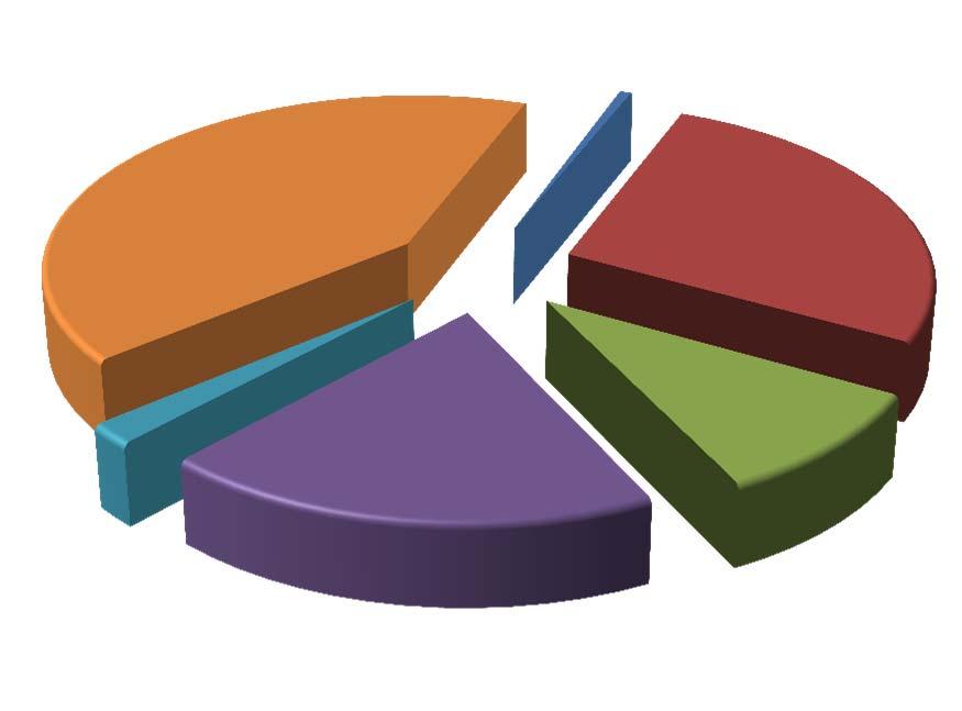 Il campione biellese Struttura del campione delle società di capitale biellesi (Anno 2012) Distribuzione del campione delle società di capitali biellesi per settore (Anno 2012) Settore N.