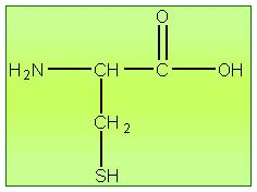 Esercizio (2) L amminoacido cisteina contiene 29,55% di, 5.90% di, 11,30 % di N, 26,72% di O e 26,44% di S (percentuali in massa degli elementi). Determinare la formula minima della cisteina.