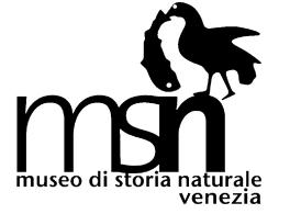18 Museo di Storia Naturale di Venezia Fontego dei Turchi - S.
