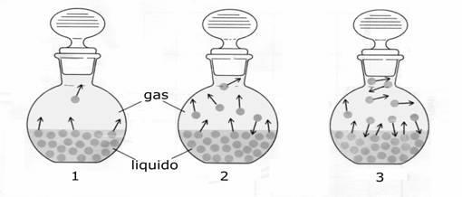 ABBASSAMENTO RELATIVO DELLA TENSIONE DI VAPORE (LEGGE DI RAOULT) I liquidi possiedono una tensione di vapore