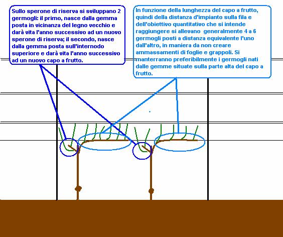 www.ti.ch/agricoltura - matteo.bernasconi@ti.ch - 091 814 35 48 pagina 3/7 2.