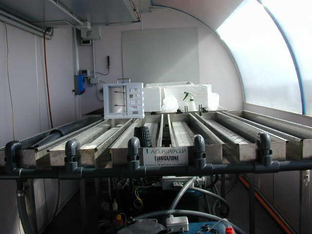 Hydroponic System (CGHS),