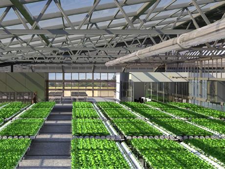 USA: BrightFarms promuove le serre idroponiche sui tetti dei supermercati Paul Lightfoot, amministratore delegato di BrightFarms, una startup di New York, ha proposto una soluzione divertente e