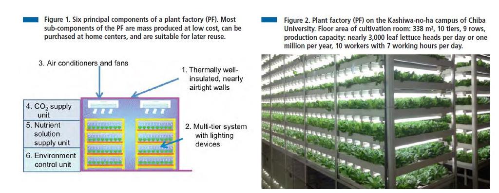 Plant Factory (PF) per la produzione commerciale di ortaggi Coltivazione idroponica in ambiente completamente controllato Può