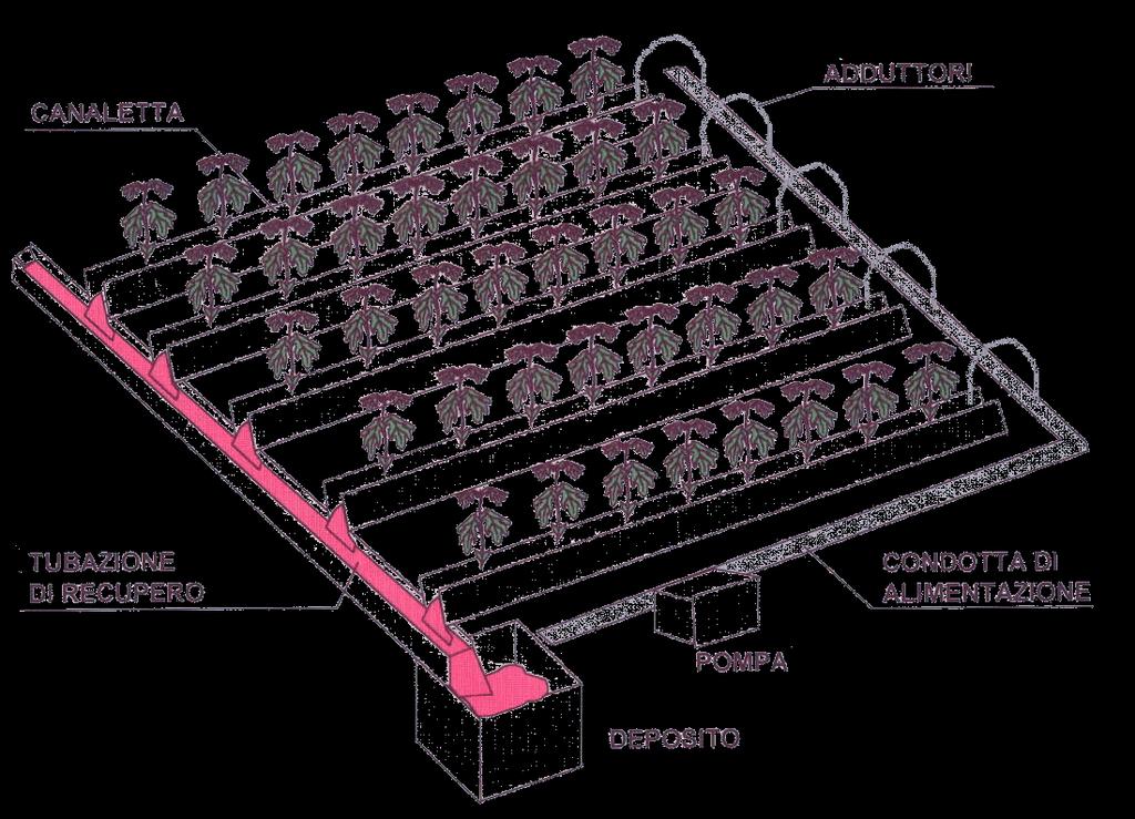 Sistema che consente di alimentare le piante (con radice