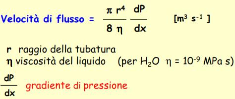 Nel flusso di massa le molecole si muovono in risposta a un gradiente di pressione: da [P] alta [P] bassa La velocità del flusso è espressa in questo caso dalla legge di Poiseuille che è