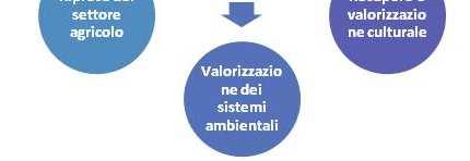 prevedono l'utilizzo di nuove tecnologie; Individuazione e valutazione delle pressioni e degli impatti (inquinanti, loro percorso e deposizione) sulla salute umana e sul sistema ambientale connesso;