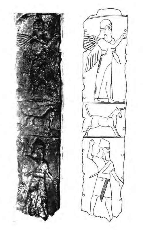 Fig. 334