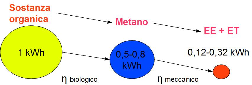 Conversione energetica in DA In digestione anaerobica il contenuto energetico di una matrice organica viene