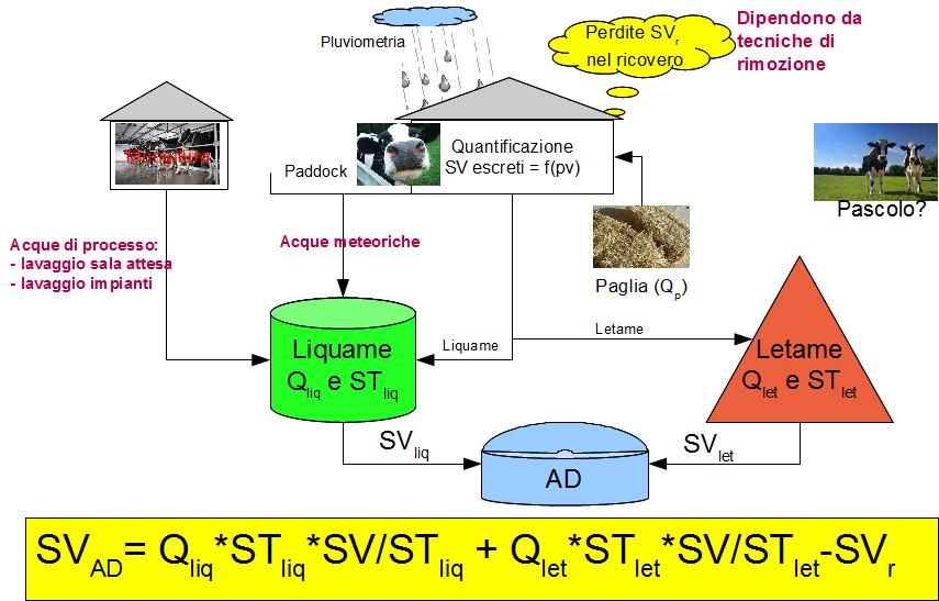 Quantificazione SV