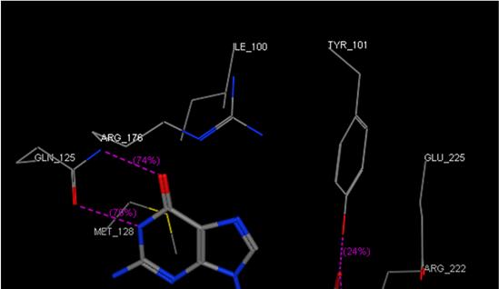 Ganciclovir Complesso Timidina Chinasi HSV-1/Ganciclovir PDB Code: 1KI2
