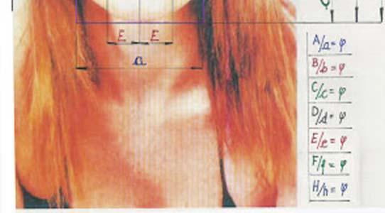 RETTANGOLO AUREO IN NATURA questa figura di volto di donna si possono individuare numerosi rapporti aurei: A/a: rapporto tra