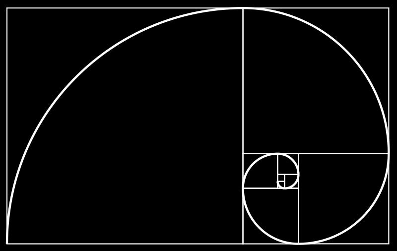 LA SPIRALE AUREA La spirale aurea è una spirale basata su una serie di quadrati che possono essere costruiti all interno di un rettangolo aureo.