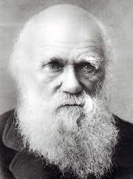 Le Teorie di Darwin e l evoluzione della specie Charles Robert Darwin (1809 1882) è stato un naturalista britannico, celebre per aver formulato la teoria dell'evoluzione delle specie animali e