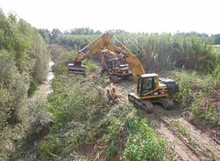 Tipologia di intervento Taglio di vegetazione nella fascia perifluviale Principali impatti perdita diretta di specie e habitat ripari riduzione della capacità autodepurativa possibile aumento dell