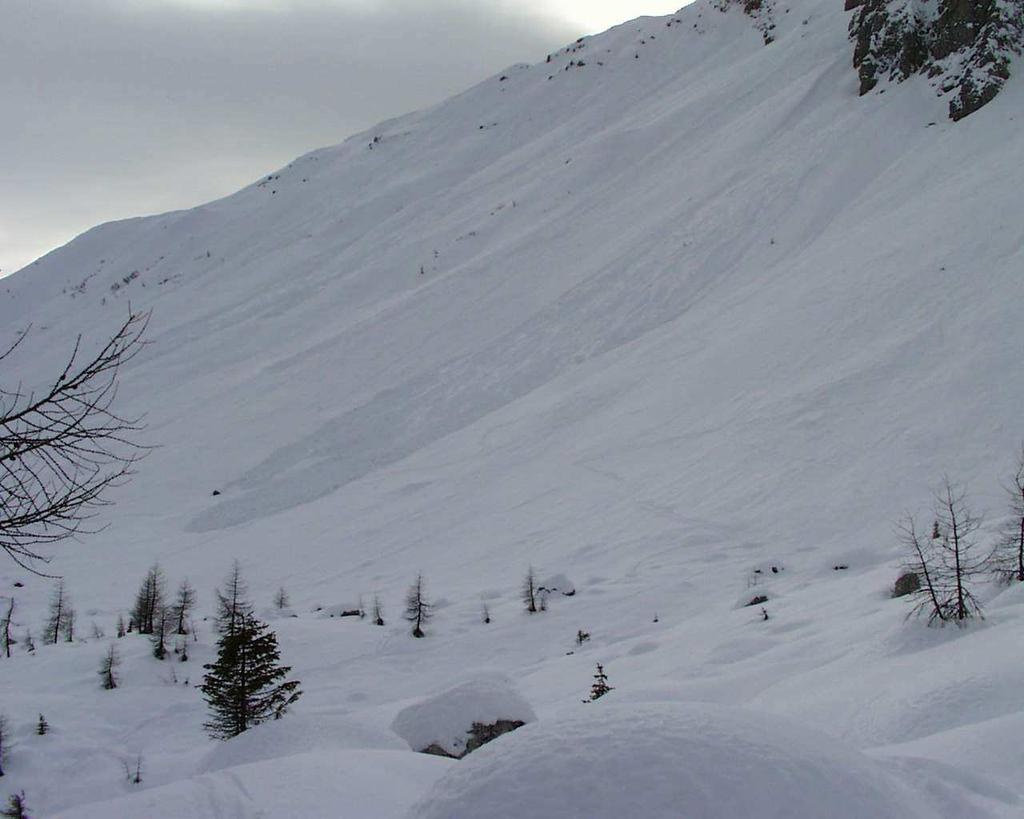 Esempi: Giornata serena neve asciutta e fredda anche