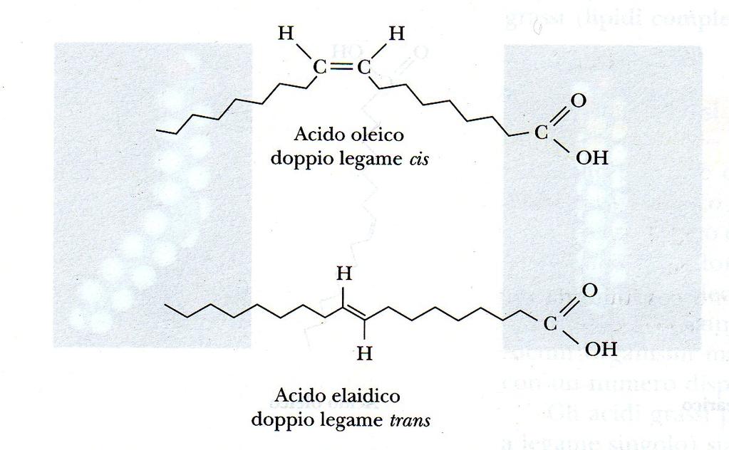 nella catena idrocarburica acido oleico acido cis-9-ottadecenoico (18:1cD 9 ) il più abbondante acido grasso