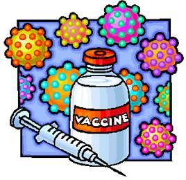 Tali vaccinazioni sono offerte dalle Regioni e dalle Province autonome, in base alle indicazioni del Calendario vaccinale relativo all anno di nascita.