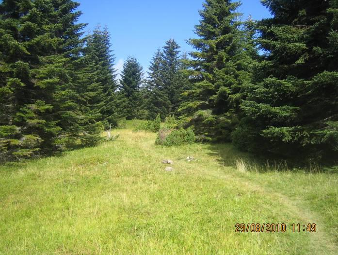 Dopo un punto panoramico, si continua in salita attraversando un lungo tratto aperto, ritornando poi in una fitta faggeta dove il percorso diventa largo e pianeggiante.