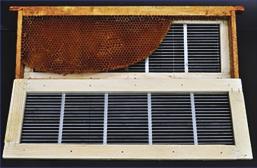integrata a Varroa destructor ha assunto un importanza fondamentale per l apicoltura moderna, in particolar modo per quegli apicoltori che adottano criteri