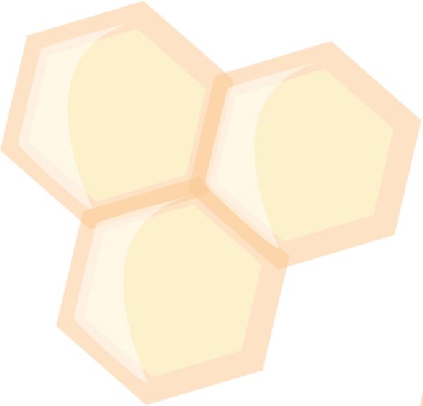 L APICOLTORE ITALIANO 16 delle api nelle tecniche di ingabbiamento su favo (Bigabbia Cassian, Gabbia ET) rispetto alla gabbietta VAR-CONTROL sembrerebbe ripercuotersi