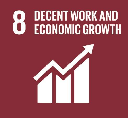 ITALIAN DATA FOR UN-SDGs Sustainable Development Goals of the 2030 Agenda Goal 8 Promote sustained, inclusive
