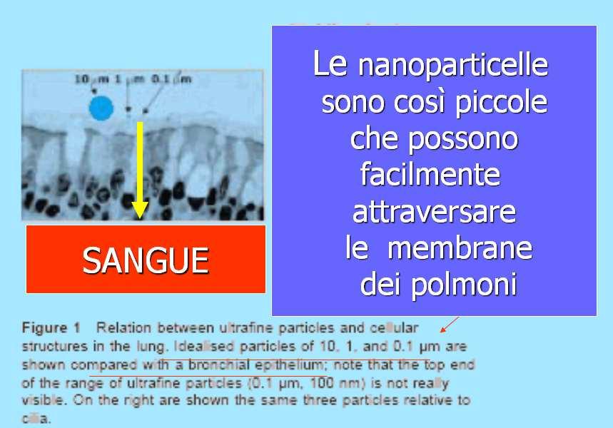 PM1-2 (Polveri ultra-sottili) Fonte: