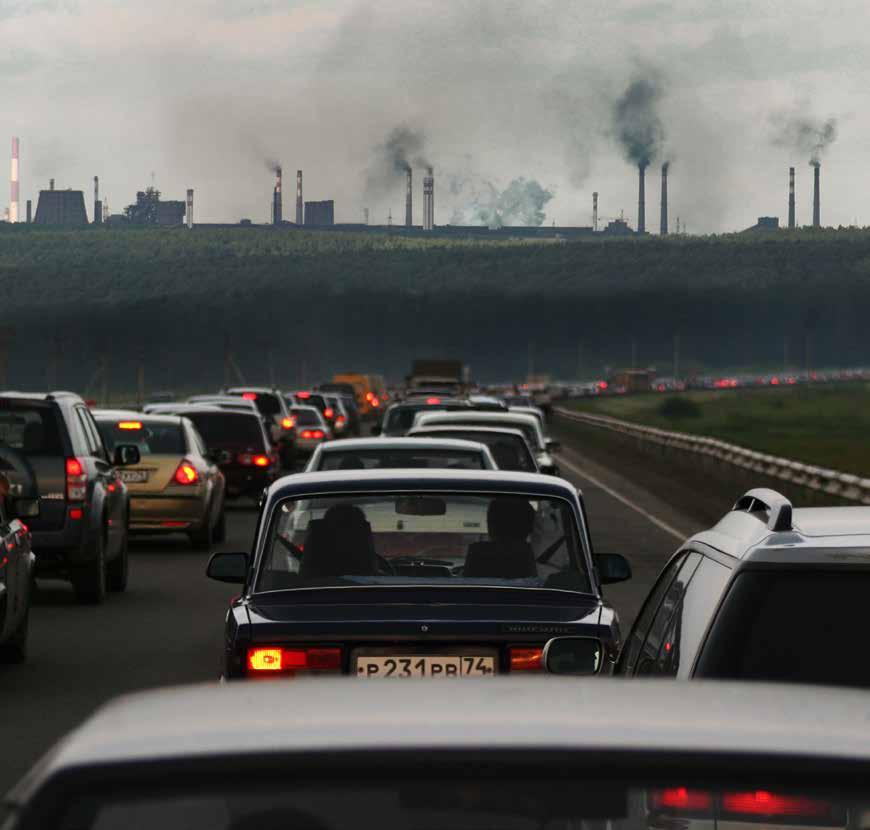 La purificazione dell aria (proprietà antibatteriche) Gli ossidi di azoto, provenienti dagli scarichi delle auto e dall inquinamento industriale presente nell aria delle nostre città, creano problemi