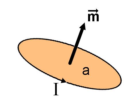 Momento (di dipolo) magnetico Grandezza con definizione precisa: Area x Corrente Modello