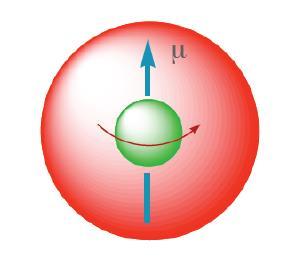 H-NMR: Chemical shift, posizione dei segnali Per l atomo di idrogeno, che possiede un elettrone ed una distribuzione di carica simmetrica (sferica), lo schermo è principalmente dato da quello che,