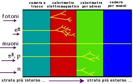 cerchiamo possono essere prodotte molto raramente) un insieme di rivelatori, che sfruttino nel modo