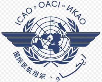 I SAPR sono Aeromobili ICAO (Annex 6, Annex 8, Circ. 328) EC Regulation N.