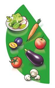 Il pasto ottimale rappresenta quello che dovrebbe essere un pasto principale equilibrato: contiene cioè i gruppi di alimenti e le loro proporzioni ideali.