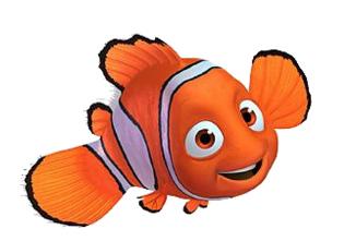 coccodè vuol dire vai sempre dritto". Pinocchio, felice di questa scoperta si mette a remare veloce fino ad incontrare Nemo e la Sirenetta imprigionati dalle alghe.