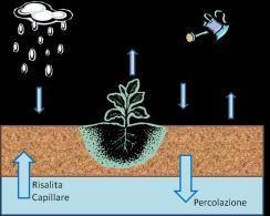 1 y = umidità del terreno uscita