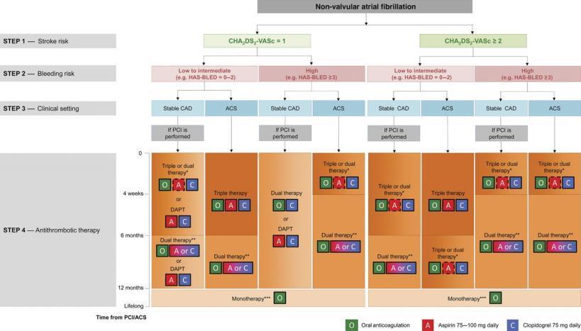 + NOACs: FANV e cardiopatia ischemica Il consensus Document della