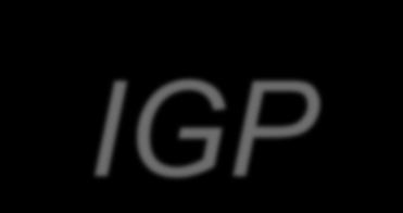 Seminario DOP IGP DIVISIONE DOP/IGP/STG